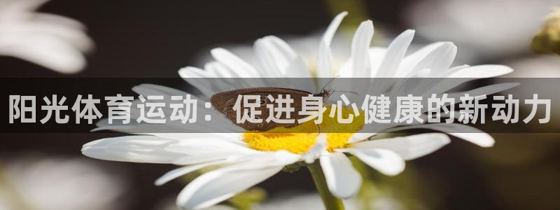 球王會(huì)體育：陽(yáng)光體育運(yùn)動(dòng)：促進(jìn)身心健康的新動(dòng)力
